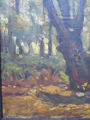 Cornelis Kievit - Dwarreling. kopen? Bied vanaf 100!