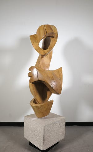 Niet of onleesbaar gesigneerd - Groot organisch gevormd houten sculptuur (Zwaar!) kopen? Bied vanaf 1!