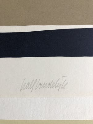 Hans Landsaat - Half landelijk kopen? Bied vanaf 25!