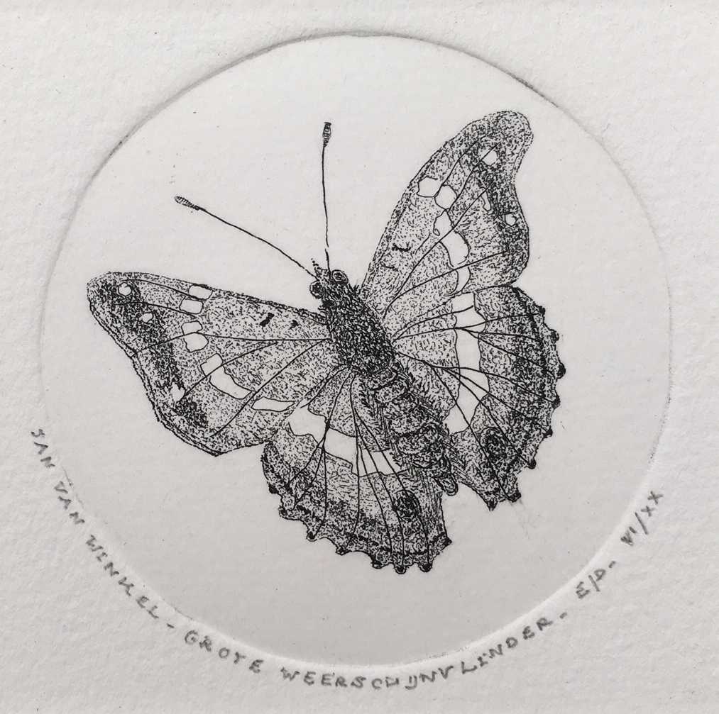 Jan van Winkel - Ets, Grote weerschijnvlinder verkocht voor € 1!