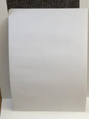 Dirkje Kuik - Antropomorfe hazen kopen? Bied vanaf 100!