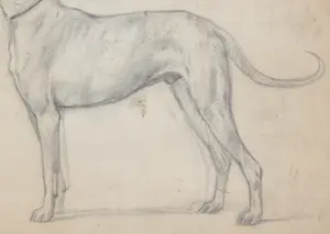 Otto Eerelman - Schets van een hond kopen? Bied vanaf 200!