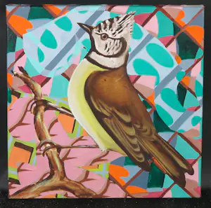 Christie van der Haak - Acryl op doek, Zo vrij als een vogel kopen? Bied vanaf 80!