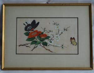 Niet of onleesbaar gesigneerd - 2 Oude ingelijste gouaches (?) op papier , Vlinders kopen? Bied vanaf 1!