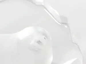 Mats Jonasson - Kristallen beeld, Zeehond kopen? Bied vanaf 1!