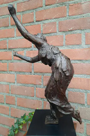 Karel Gomes - Dame, expressief in beweging kopen? Bied vanaf 450!