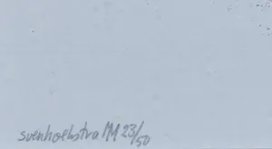 Sven Hoekstra - Zeefdruk, Zonder titel - Ingelijst kopen? Bied vanaf 1!