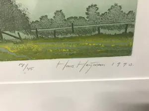Hans Heijman - Ik ben een Boom kopen? Bied vanaf 45!