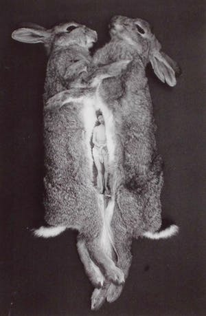 Marc Mulders - Titel: Ark kopen? Bied vanaf 150!