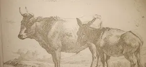 Karel Dujardin - Os en ezel kopen? Bied vanaf 150!