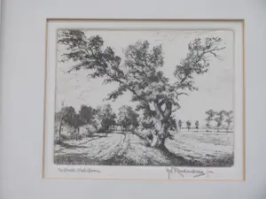 Hendrikus Roodenburg - de Oude Noteboom - Beesd Mariënweerd kopen? Bied vanaf 50!