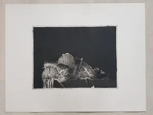 Jan Prins - Prachtige Ets - Gesigneerd in potlood kopen? Bied vanaf 15!