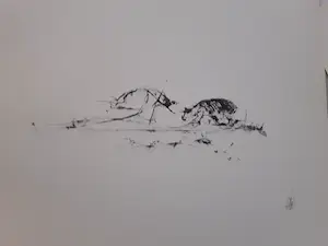 Melle Oldeboerrigter - Ter gelegenheid van Melle,s 60e verjaardag kopen? Bied vanaf 45!