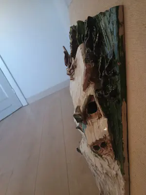 May Claerhout - Zonnelicht kopen? Bied vanaf 100!