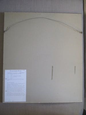 Aart van Dobbenburgh - Grote ingelijste litho "Marthy" kopen? Bied vanaf 60!