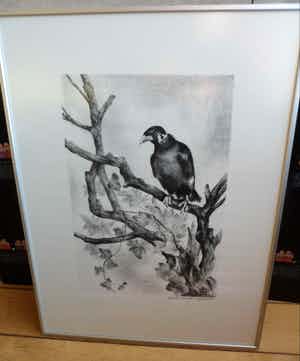 Aart van Dobbenburgh - Litho. Beo. Hand gesigneerd. 1982. verkocht voor € 35!