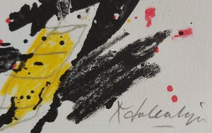 Kees Salentijn - Geen titel kopen? Bied vanaf 15!