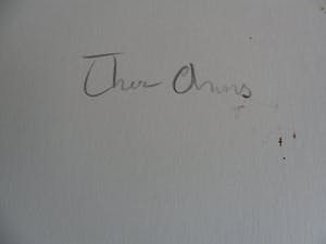 Theo Onnes - Zeefdruk. Titel. "Cow 2 ( Groot ) kopen? Bied vanaf 80!