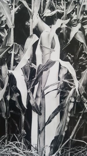 Erik Gigengack - 'lost', originele foto, nummer 1 uit serie van 10 kopen? Bied vanaf 1!