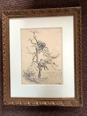 Toon de Jong - Vrouw in boom verkocht voor € 100!