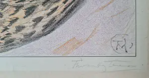 Theo van Hoytema - Vliegende torenvalk - handgesigneerde litho kopen? Bied vanaf 65!