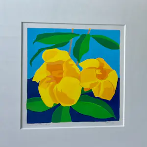 Henk van der Plas - Bali II kopen? Bied vanaf 55!