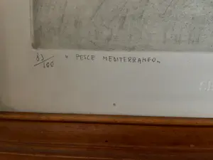Giancarlo Pozzi - Il pesce mediterraneo kopen? Bied vanaf 80!