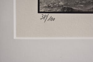 Ralph Janowski - Bomen kopen? Bied vanaf 1!