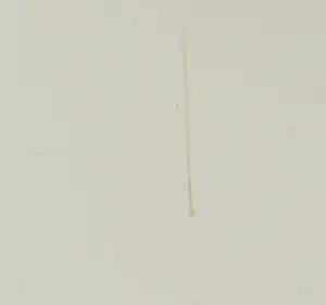 Herman van Rossum - Zeefdruk, Vrouwenportret kopen? Bied vanaf 1!