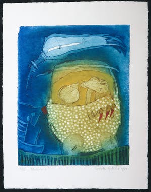 Liesbeth Rahder - Kleurenets, Moondrive kopen? Bied vanaf 50!