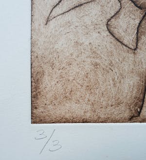 Ronald Tolman - Stervende hond, zeer zeldzame aquatint ets kopen? Bied vanaf 250!