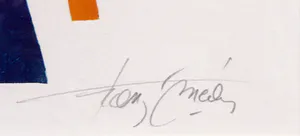 Francis Mean - Kleurenets, Abstract landschap - Ingelijst kopen? Bied vanaf 50!