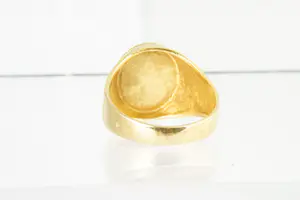 09 - Mooie geel-gouden 18 krt ring met afbeelding van Neptunus - gekeurd kopen? Bied vanaf 310!