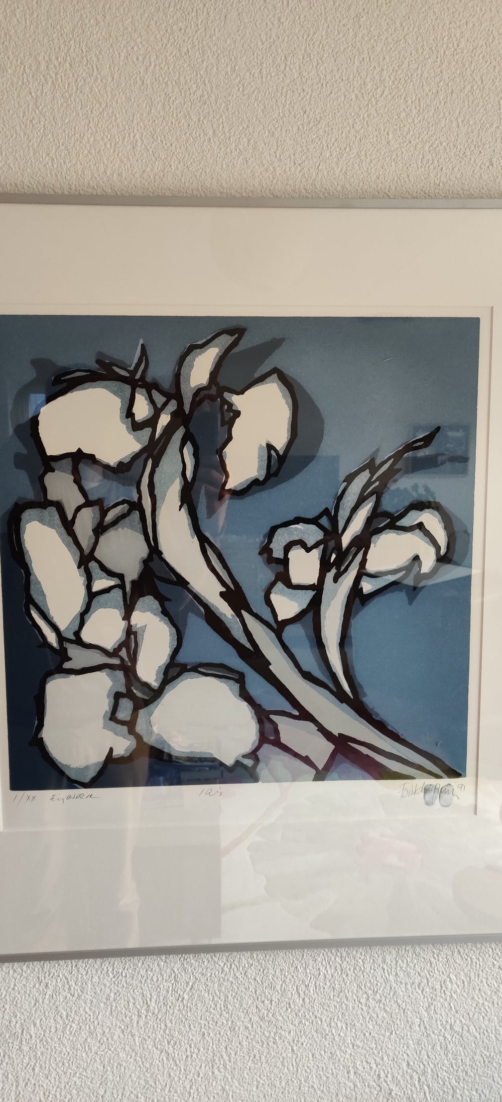 Michaelvanderpoorten