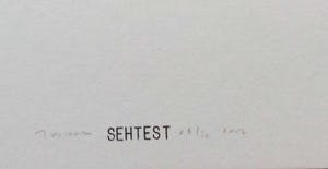 Peter Jordaan - C5163-A2, Sehtest kopen? Bied vanaf 75!