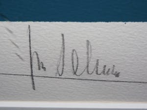 Ton Schulten - Branding van de zon kopen? Bied vanaf 475!