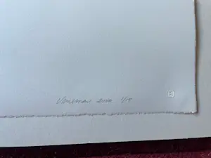 Peer Veneman - Foto, Zonder titel kopen? Bied vanaf 30!