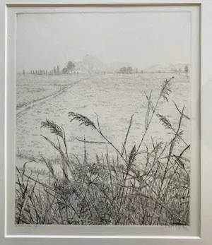 Reinder Homan - Ets, Landschap met riet in de polder ‘90 kopen? Bied vanaf 65!