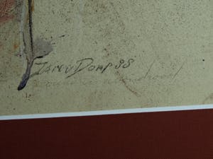 Jan van Dorp - Ingelijste prent , Vrouw in avondrood – Groot – 1988 kopen? Bied vanaf 1!