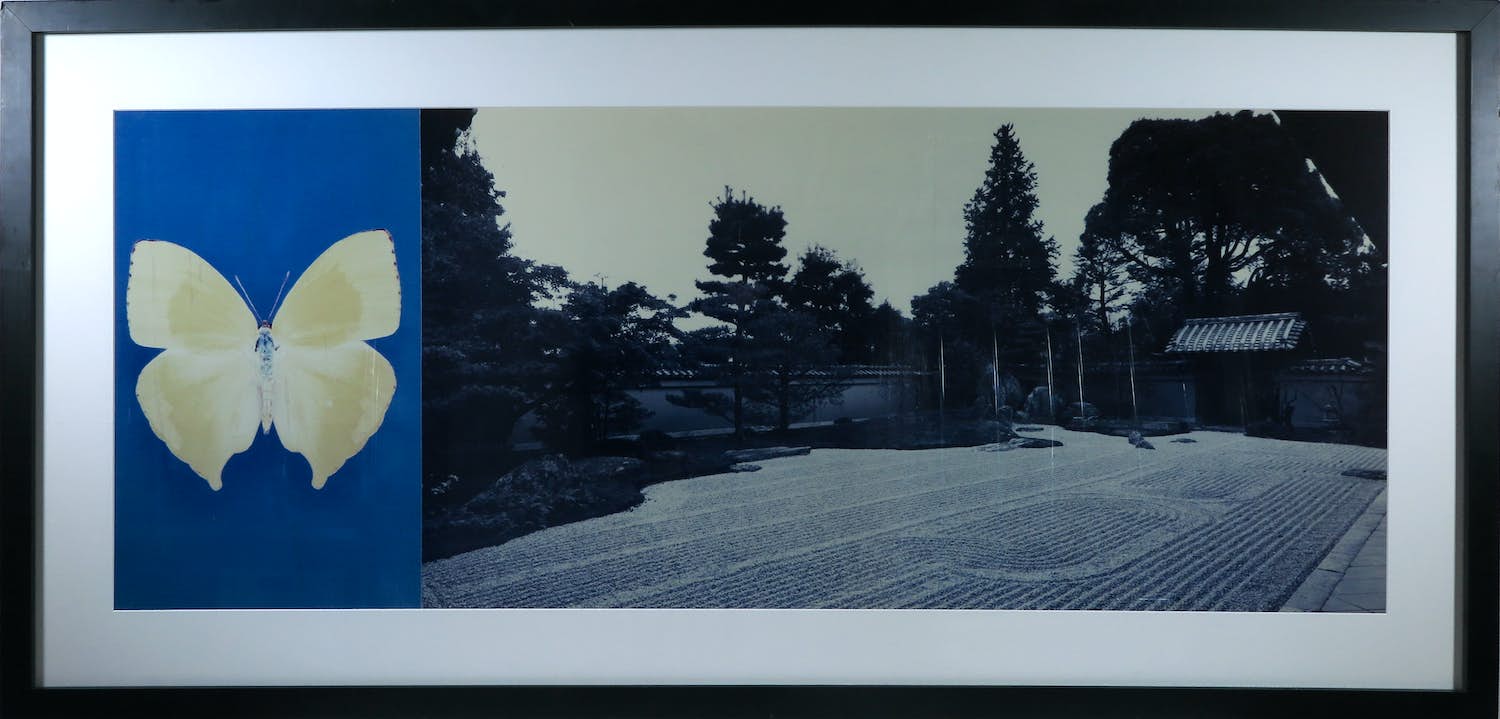 Jean Ruiter - Fotografie, Hoshun-in (butterfly), (Zeer groot) kopen? Bied vanaf 35!