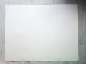 Werner Liebmann - „Der Wald" - Lithographie - Auflage von 22 - signiert kopen? Bied vanaf 120!