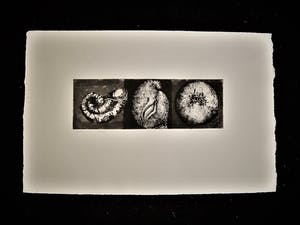 Clary Mastenbroek - Realistisch Grafica - gesigneerde Ets 1971 "triptiek" oplage 150 kopen? Bied vanaf 10!