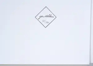 Ger Dekkers - Bulb-fields, Noordoostpolder, Holland - offset - 49x64 cm - 1979 kopen? Bied vanaf 50!