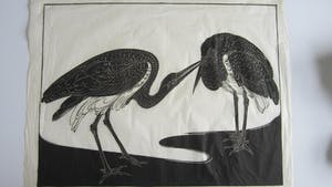 Jan Schonk - 2 houtsnedes "Kaketoe" en "twee reigers". kopen? Bied vanaf 35!