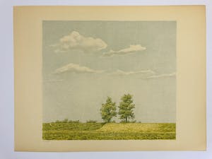 Edgar Fernhout - Zomerdijk kopen? Bied vanaf 45!