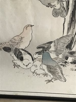 Niet of onleesbaar gesigneerd - Twee Chinese schilderijen met vogels kopen? Bied vanaf 10!