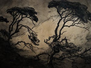 Toon de Jong - Grote in 1928 vervaardigde Ets "Landschap Schouwen Duiveland Haamstede" kopen? Bied vanaf 20!