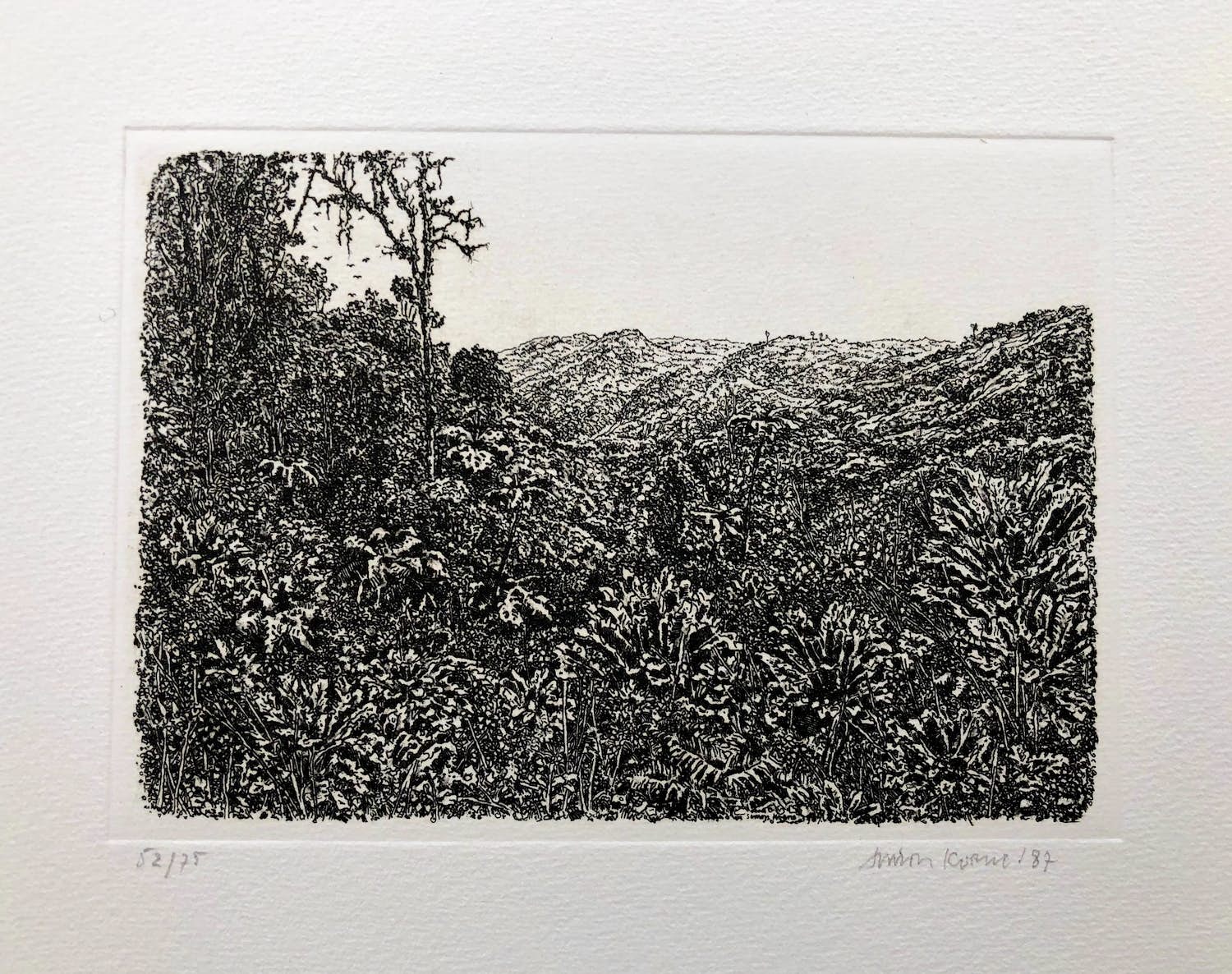 Simon Koene - Tropisch oerwoud met bomengroep links verkocht voor € 45!