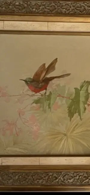 Onbekend - Onbekend kopen? Bied vanaf 300!