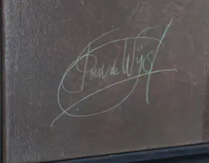 Poen de Wijs - Transformatie kopen? Bied vanaf 1500!